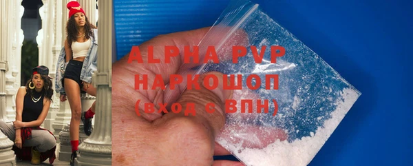 гашик Алексин