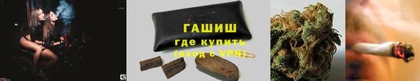 гашик Алексин