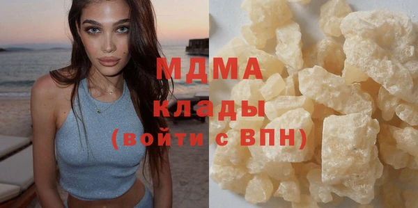 гашик Алексин
